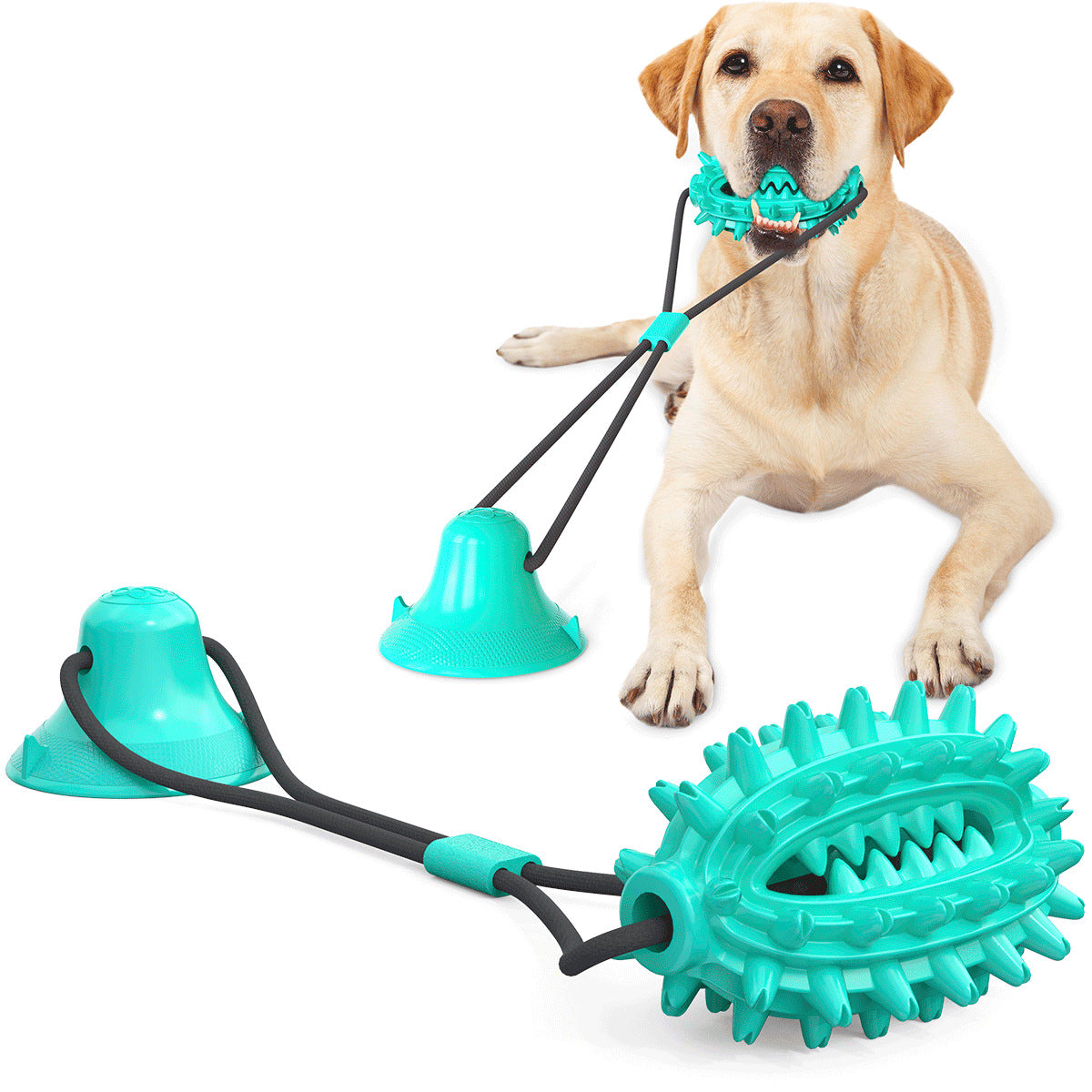 Pet Supplies Manufacturer Wholesale Company New Hot Amazon Dog Sound Leaking Food Toy Suction Cup Pull Rope Ball