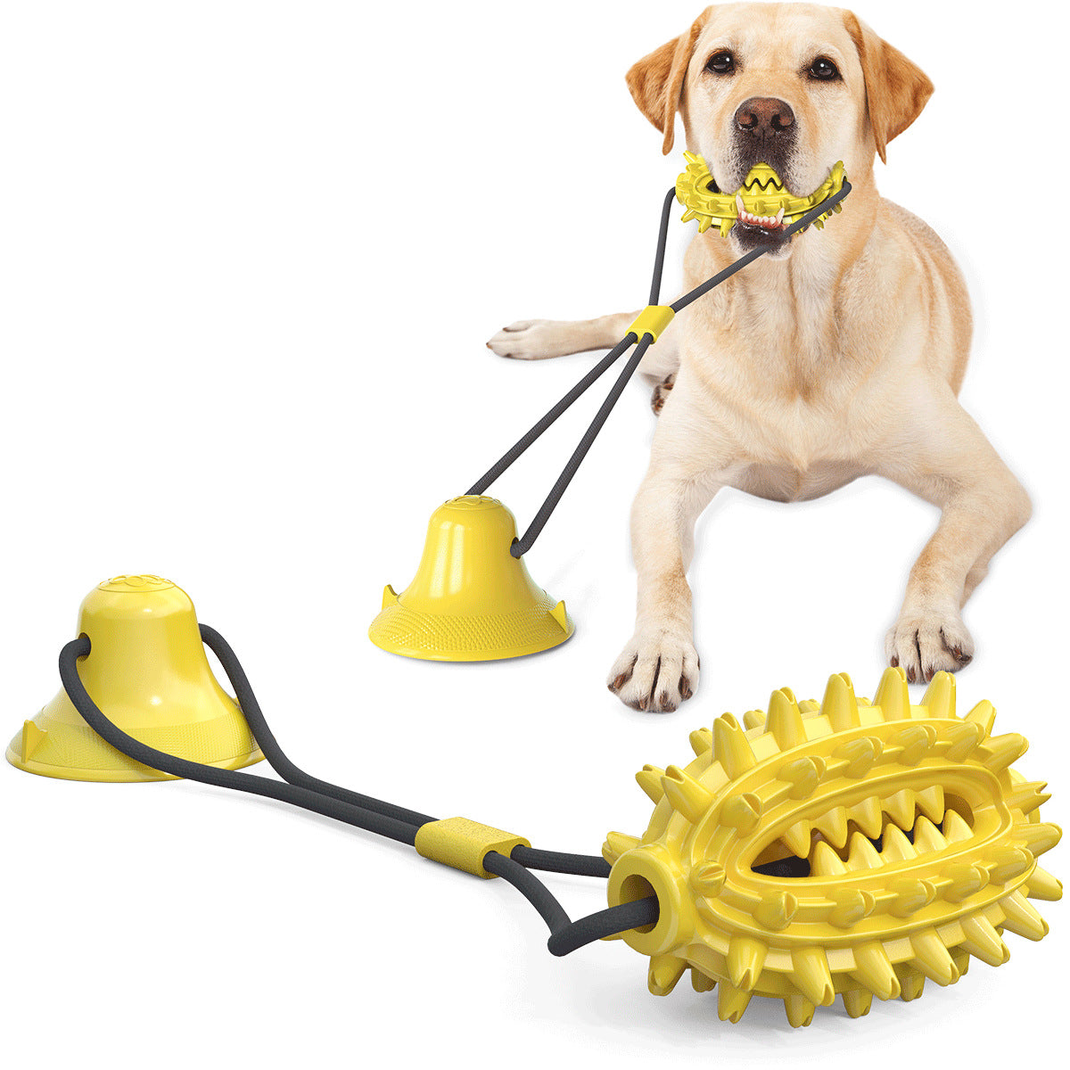Pet Supplies Manufacturer Wholesale Company New Hot Amazon Dog Sound Leaking Food Toy Suction Cup Pull Rope Ball