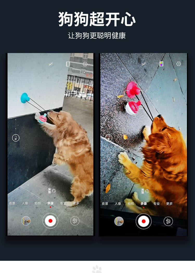 Pet Supplies Manufacturer Wholesale Company New Hot Amazon Dog Sound Leaking Food Toy Suction Cup Pull Rope Ball