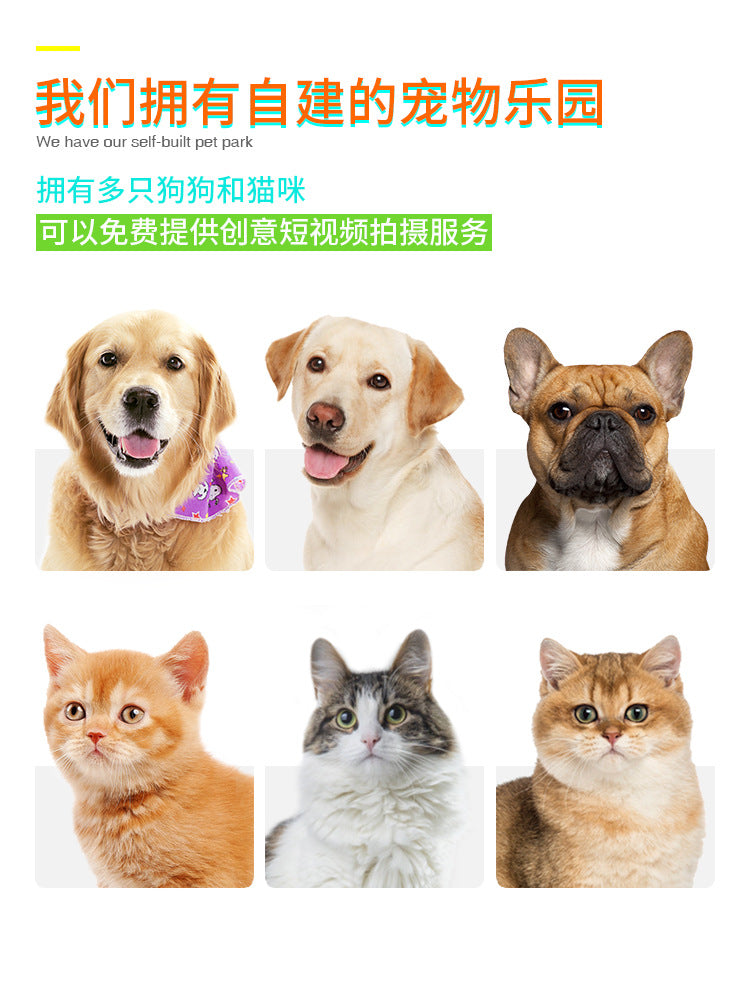 Pet Supplies Manufacturer Wholesale Company New Hot Amazon Dog Sound Leaking Food Toy Suction Cup Pull Rope Ball