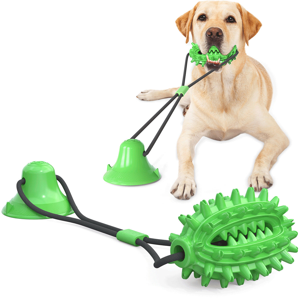 Pet Supplies Manufacturer Wholesale Company New Hot Amazon Dog Sound Leaking Food Toy Suction Cup Pull Rope Ball