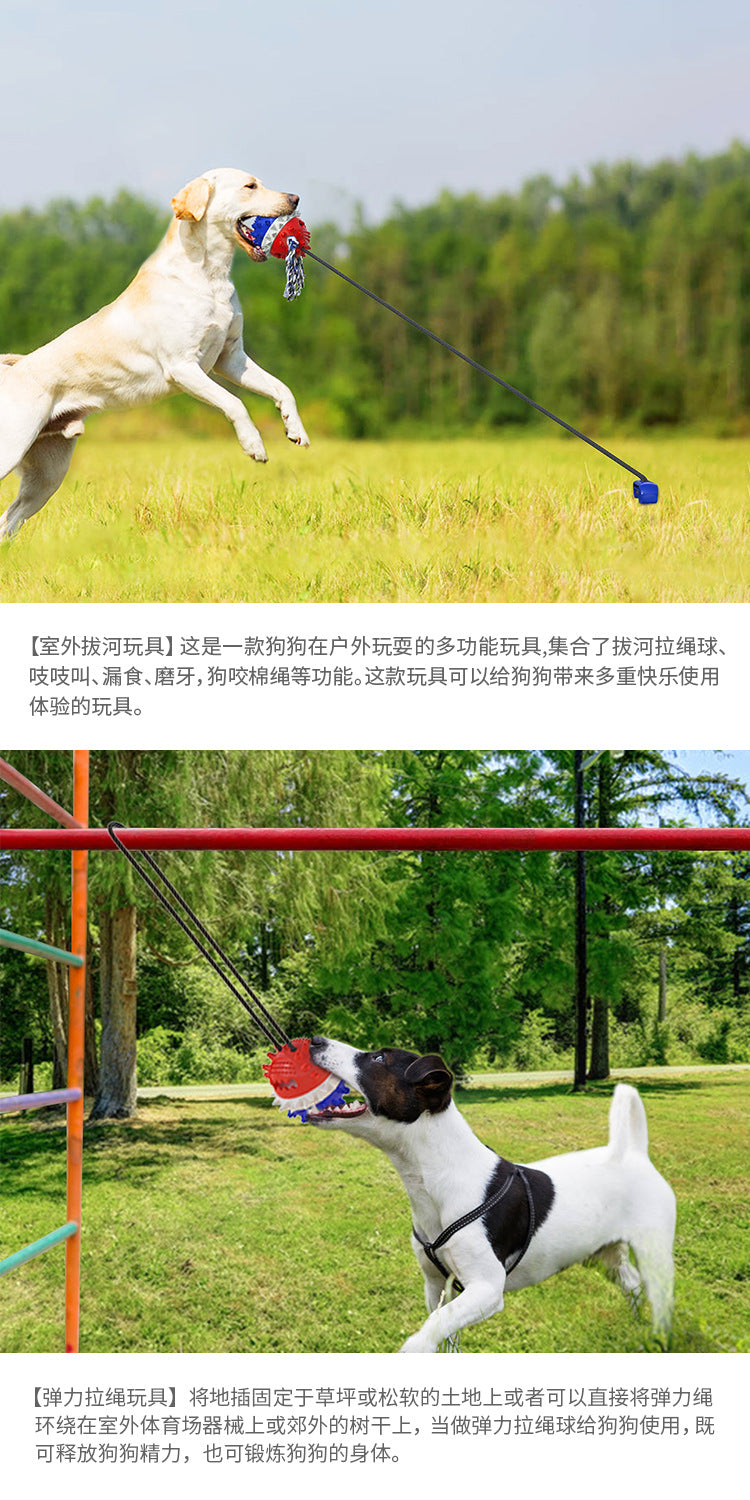 Pet Supplies Manufacturer Wholesale Company New Hot Amazon Dog Sound Leaking Food Toy Suction Cup Pull Rope Ball