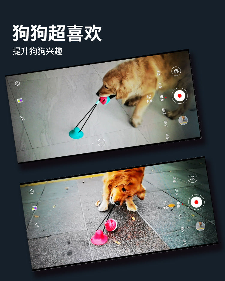 Pet Supplies Manufacturer Wholesale Company New Hot Amazon Dog Sound Leaking Food Toy Suction Cup Pull Rope Ball