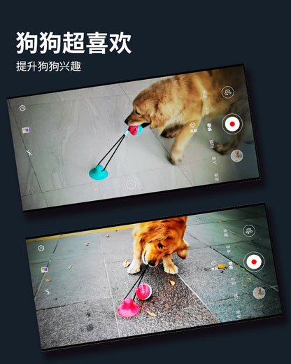 Pet Supplies Manufacturer Wholesale Company New Hot Amazon Dog Sound Leaking Food Toy Suction Cup Pull Rope Ball