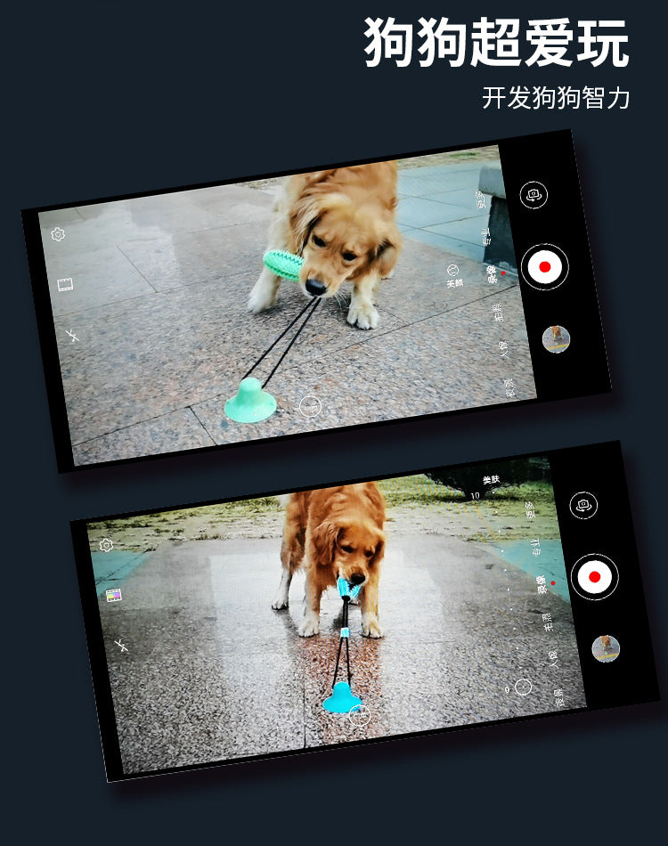 Pet Supplies Manufacturer Wholesale Company New Hot Amazon Dog Sound Leaking Food Toy Suction Cup Pull Rope Ball