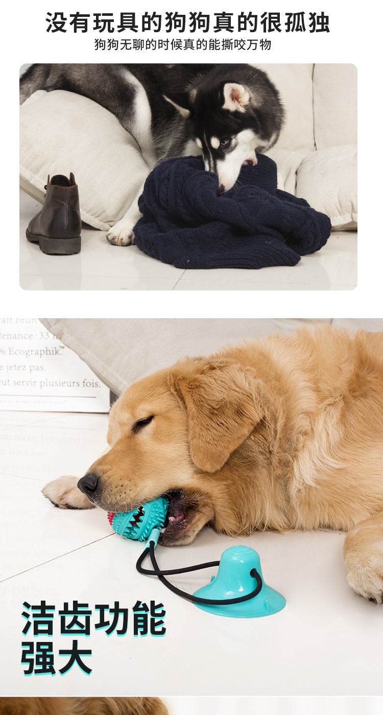 Pet Supplies Manufacturer Wholesale Company New Hot Amazon Dog Sound Leaking Food Toy Suction Cup Pull Rope Ball