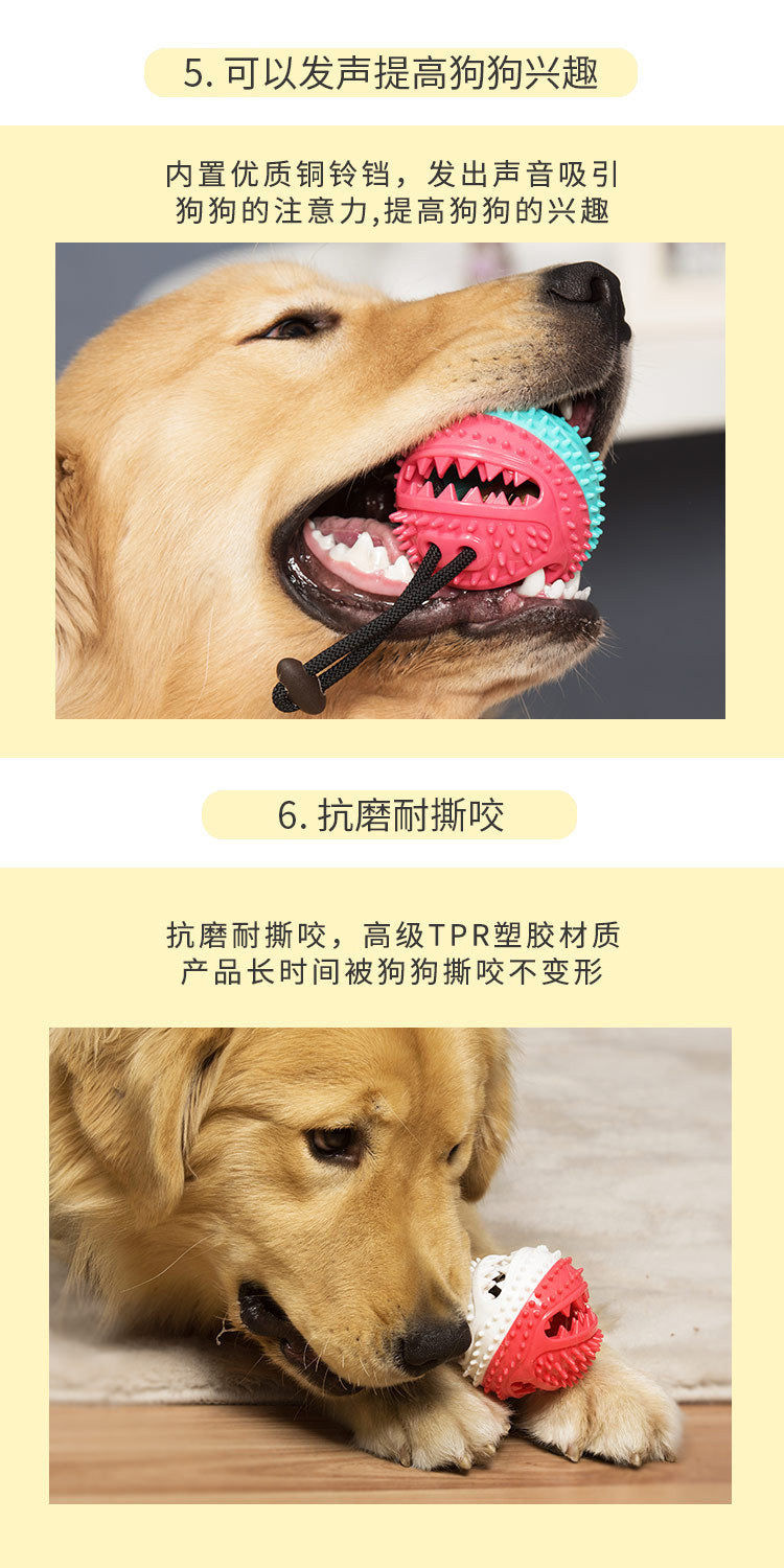 Pet Supplies Manufacturer Wholesale Company New Hot Amazon Dog Sound Leaking Food Toy Suction Cup Pull Rope Ball