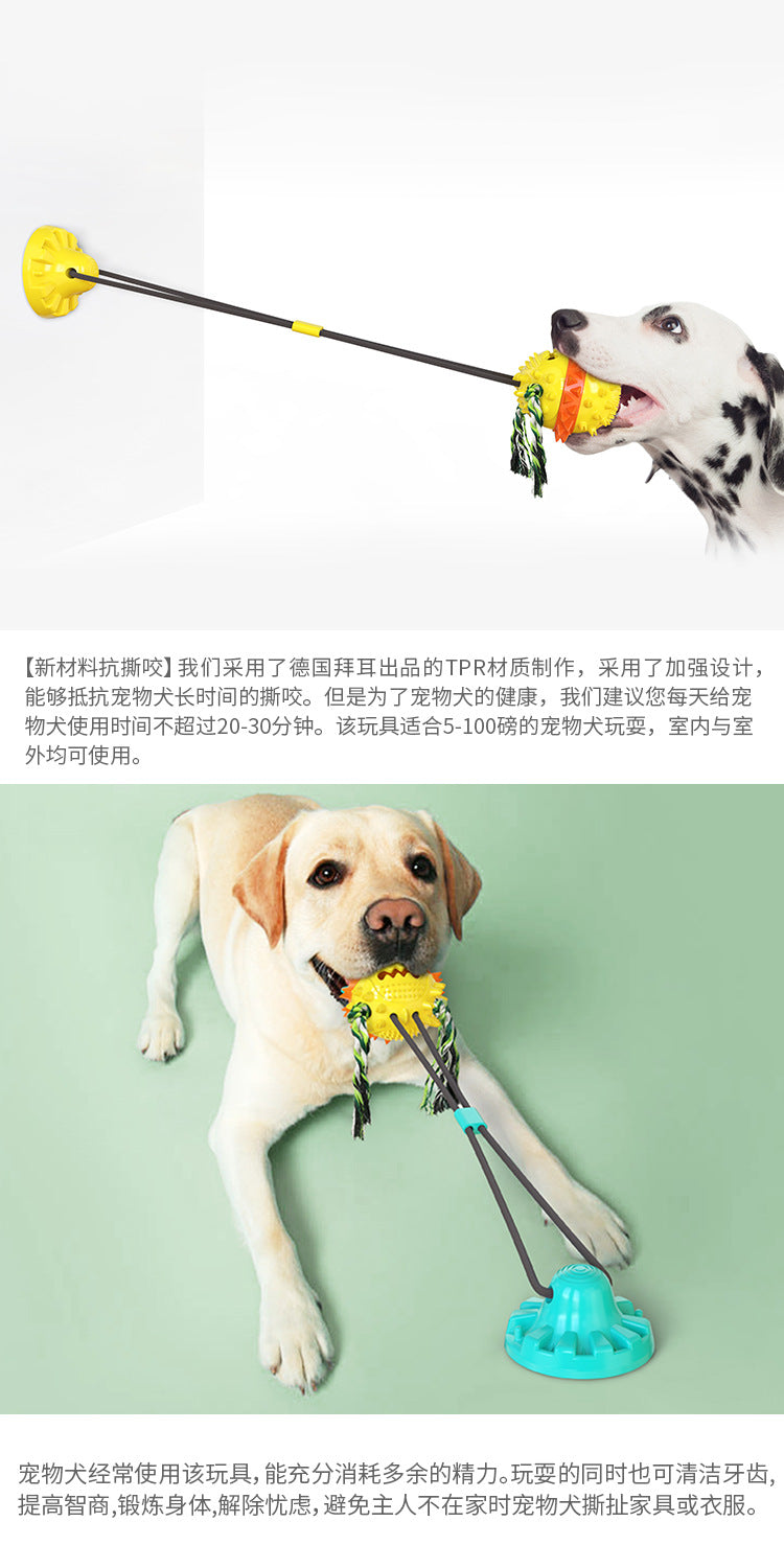 Pet Supplies Manufacturer Wholesale Company New Hot Amazon Dog Sound Leaking Food Toy Suction Cup Pull Rope Ball